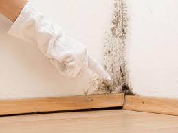 Mold Remediation for Rental Properties in Ellsworth, WI